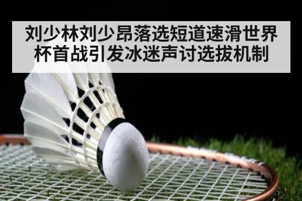 刘少林刘少昂落选短道速滑世界杯首战引发冰迷声讨选拔机制